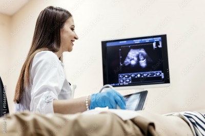 Basic Fetal Monitoring - Fall 2026