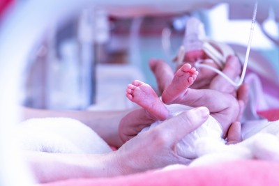 The High Risk Newborn: Sharing the Care Fall 2026